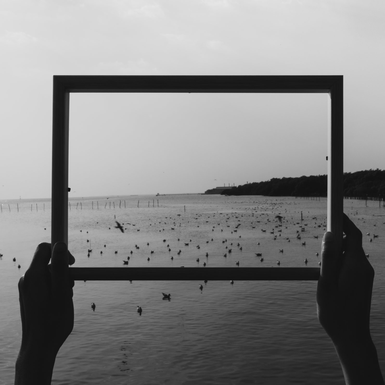 Zwei Hände halten einen leeren Bilderrahmen über das Meer